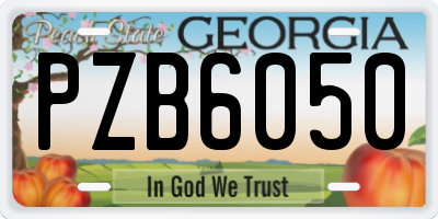 GA license plate PZB6050