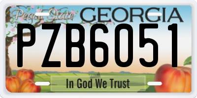 GA license plate PZB6051