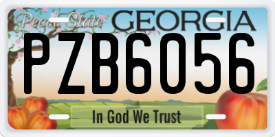 GA license plate PZB6056