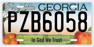 GA license plate PZB6058