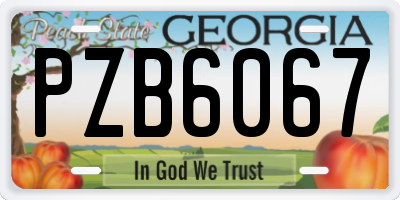 GA license plate PZB6067