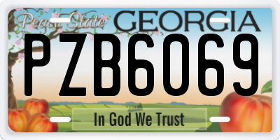 GA license plate PZB6069