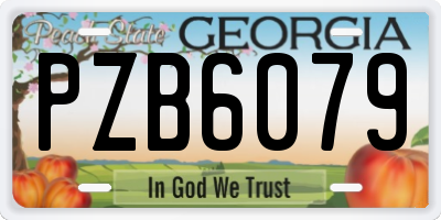 GA license plate PZB6079