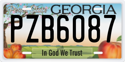 GA license plate PZB6087