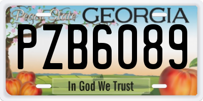 GA license plate PZB6089