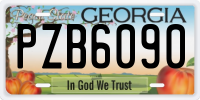 GA license plate PZB6090