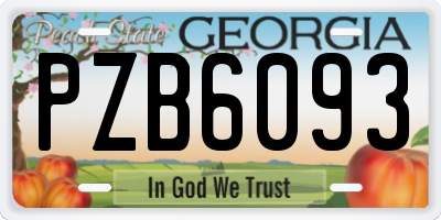 GA license plate PZB6093