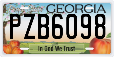 GA license plate PZB6098