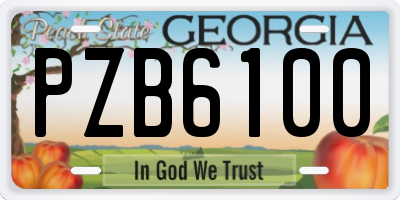 GA license plate PZB6100