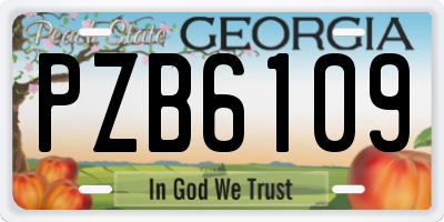 GA license plate PZB6109