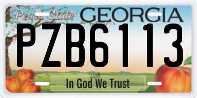 GA license plate PZB6113
