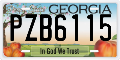 GA license plate PZB6115