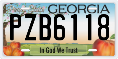 GA license plate PZB6118