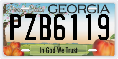 GA license plate PZB6119