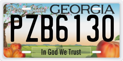 GA license plate PZB6130