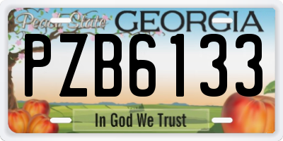 GA license plate PZB6133