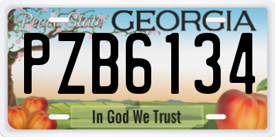 GA license plate PZB6134