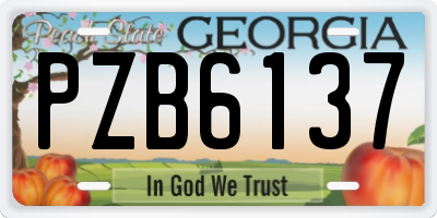 GA license plate PZB6137