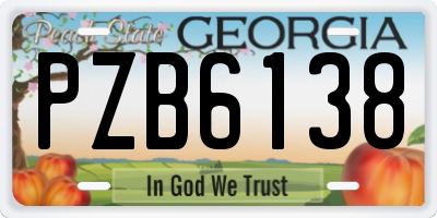 GA license plate PZB6138