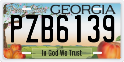 GA license plate PZB6139