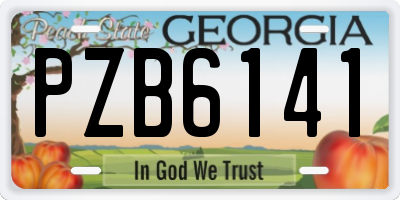 GA license plate PZB6141