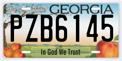 GA license plate PZB6145
