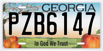 GA license plate PZB6147