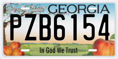GA license plate PZB6154
