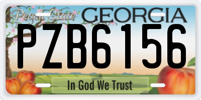 GA license plate PZB6156