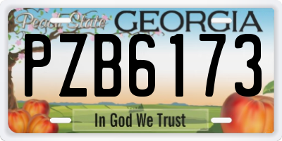 GA license plate PZB6173