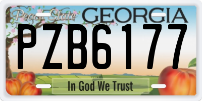 GA license plate PZB6177