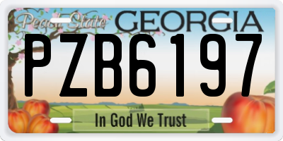 GA license plate PZB6197