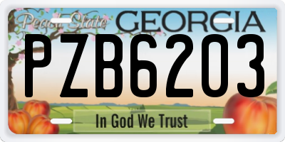GA license plate PZB6203