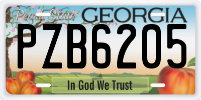 GA license plate PZB6205