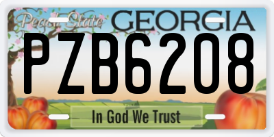 GA license plate PZB6208