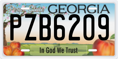 GA license plate PZB6209