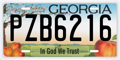 GA license plate PZB6216