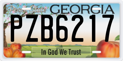 GA license plate PZB6217