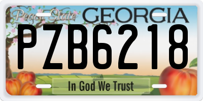 GA license plate PZB6218