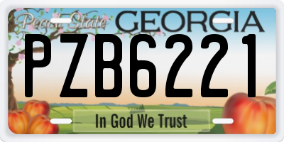 GA license plate PZB6221
