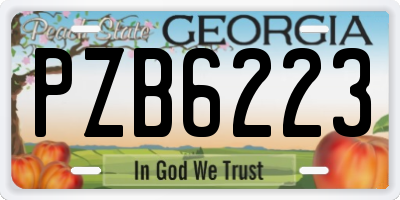 GA license plate PZB6223