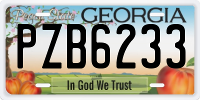 GA license plate PZB6233