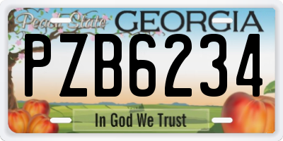 GA license plate PZB6234