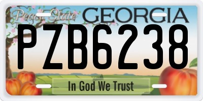 GA license plate PZB6238