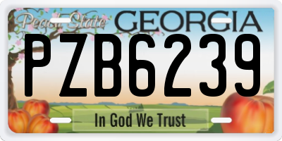 GA license plate PZB6239