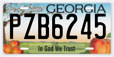 GA license plate PZB6245