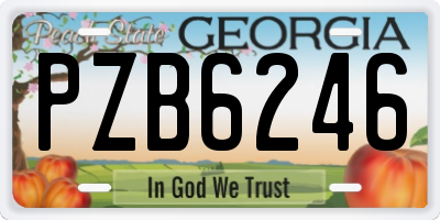 GA license plate PZB6246