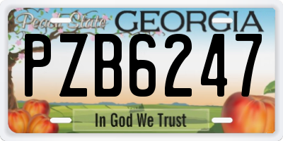GA license plate PZB6247
