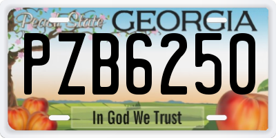 GA license plate PZB6250