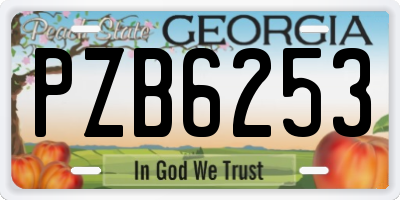 GA license plate PZB6253